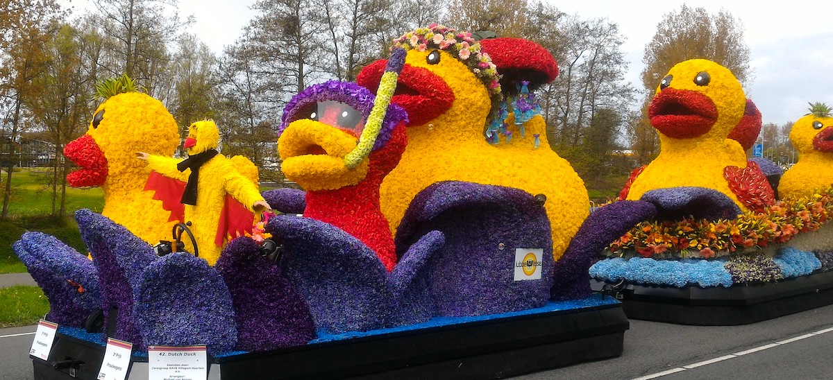 Bloemencorso, Lisse